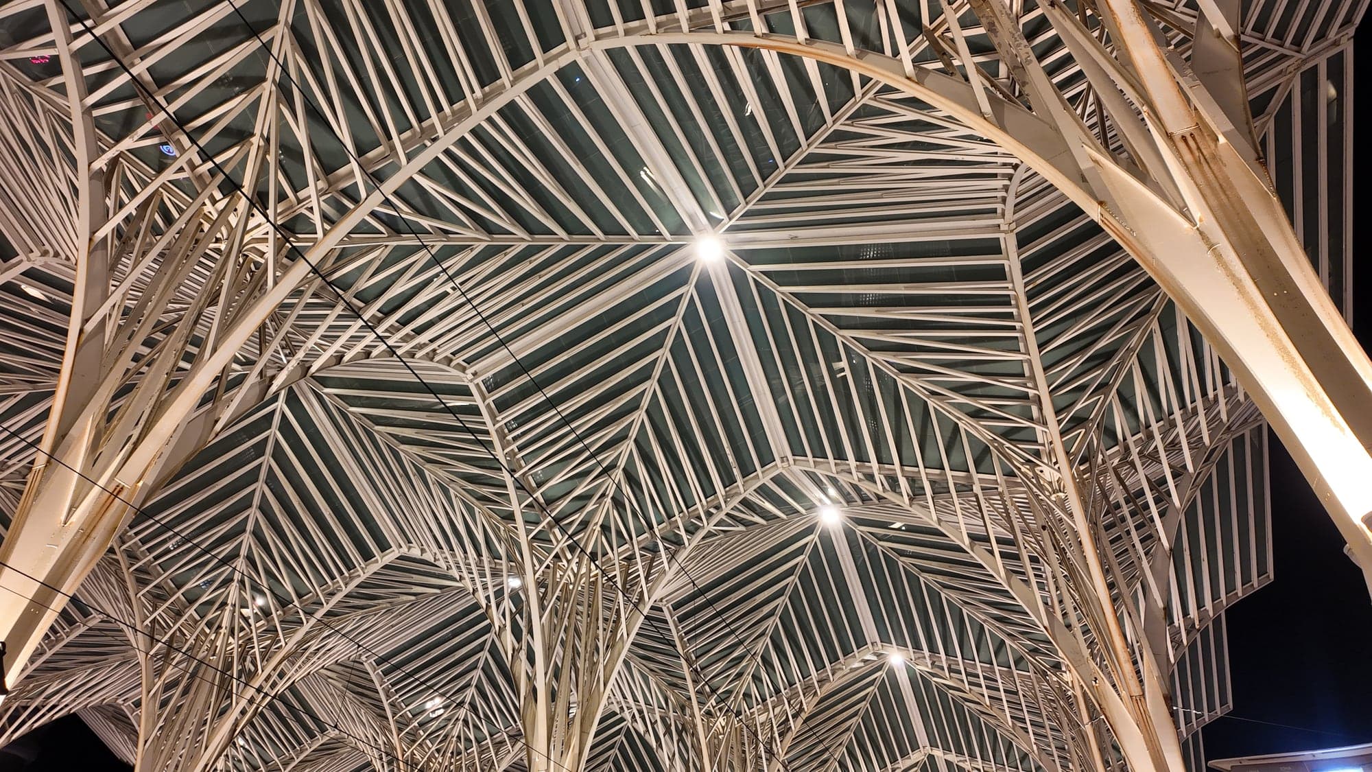 Detalle de la estructura de vidrio y acero diseñada por Santiago Calatrava en la estación de Oriente